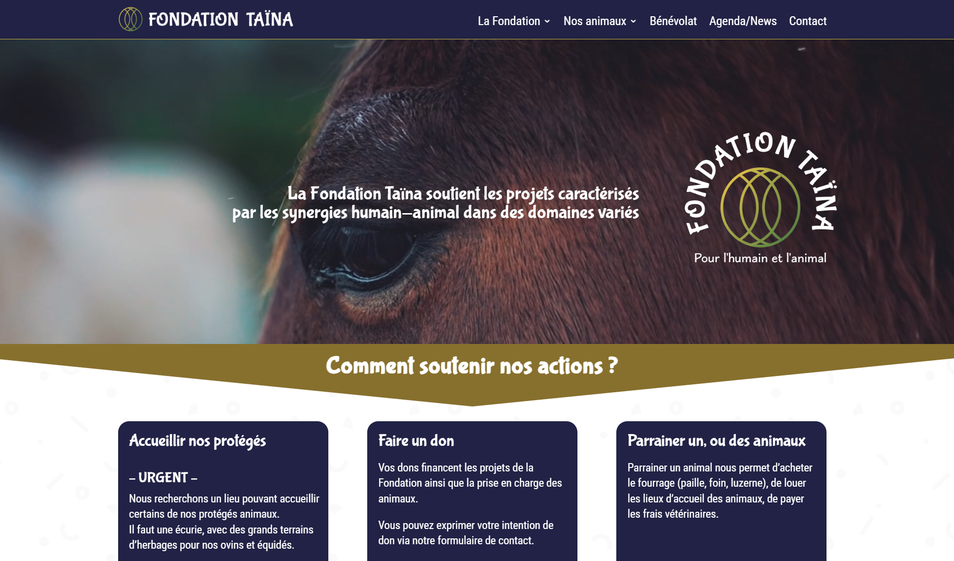 Projet Fondation Taïna